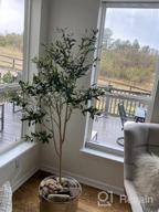 img 1 attached to 5Ft Tall Faux Eucalyptus Tree - Veryhome Artificial Plant For Home Decor Indoor & Outdoor Garden Decor, Christmas Decorations review by Shawn Martin