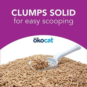 img 1 attached to 🌱 ÖKOCAT Eco-Friendly Natural Wood Clumping Litter