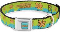 🐶 buckle-down scooby-doo mystery machine paint job dog collar - green aqua orange, adjustable sizes for small medium large dogs логотип