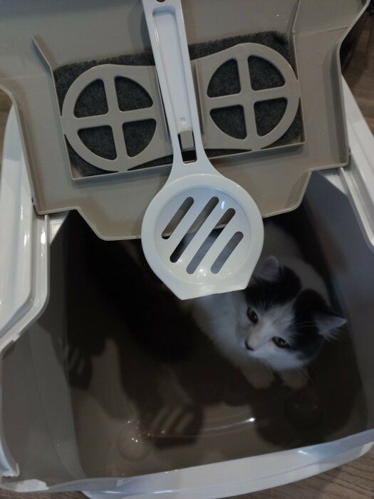 img 3 attached to 🐱 Modern Flip Grey Cat Litter Box with Warming Features review by Barbara Sikora ᠌