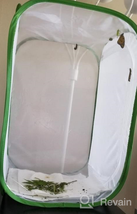 img 1 attached to 23.6 Inch Pop-Up Insect & Butterfly Habitat Cage By RESTCLOUD review by Dante Obong