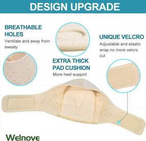 img 1 attached to Welnove Ivory Heel Protectors - 2 средние чашки с подушками для облегчения боли при шпорах, подошвенном фасциите, тендините и трещинах на пятках