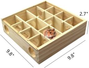 img 3 attached to 🐹 Hypeety Wooden Maze Tunnel Toy with Glass Cover: The Ultimate Interactive Activity Sport for Small Pet Animals!