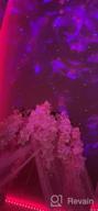 картинка 1 прикреплена к отзыву Pink Artificial Fake Wisteria Vine Rattan Hanging Garland Silk Flowers String Home Party Wedding Decor 43.2 Feet (12 Pack) от Randy Butler