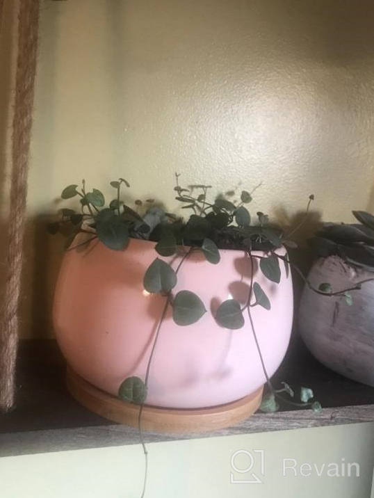 img 1 attached to 🌵 Jusalpha Large Porcelain Succulent Cactus Planter with Drainage Hole & Bamboo Saucer for Indoor Plants, Planter 07 (Pink) review by Jonathan Lloyd