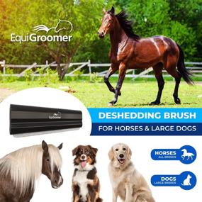 img 3 attached to 🐴 EquiGroomer Cedar Deshedding Brush: Professional Tool for Grooming and Shedding – Ideal for Large Pets and Horses with Short and Long Hair