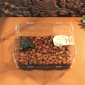 img 2 attached to 🐍 Transparent Acrylic OMEM Pet Reptile Box - Premium Reptile Combination Breeding Box for Spiders, Scorpions, and Snakes