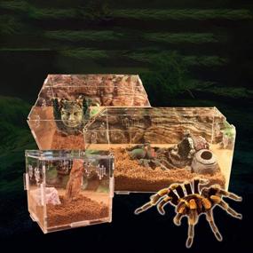 img 1 attached to 🐍 Transparent Acrylic OMEM Pet Reptile Box - Premium Reptile Combination Breeding Box for Spiders, Scorpions, and Snakes