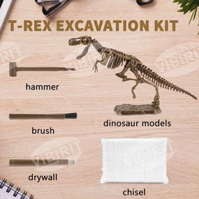 img 3 attached to Exciting Digging Adventure With VIBIRIT Dinosaur Skeleton Set - Realistic Fossil Kit Model Toys For Kids!