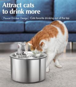 img 2 attached to 2L/67OZ Stainless Steel Automatic Pet Water Fountain - Quiet Drinking Fountain For Cats & Dogs Of All Sizes!