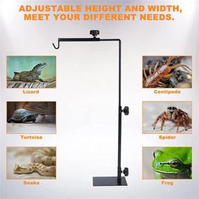 img 1 attached to 🔥 Adjustable Metal Floor Lamp Stand for Reptile Terrarium Heating Light, Small Size - Ideal for Patio, Succulent Plants, and Glass Terrarium