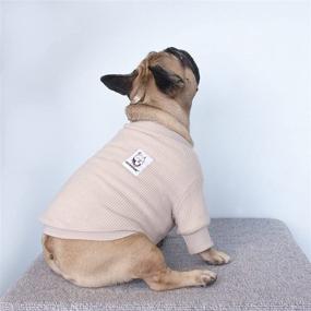 img 3 attached to Вязаный свитер в тон трикотажу Frenchie