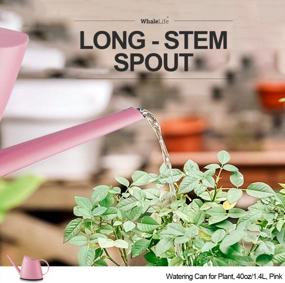 img 2 attached to Modern Pink Indoor Watering Can With Long Spout For Houseplants, Bonsai, And Garden Flowers - 40Oz/1.4L/1/3 Gallon Capacity