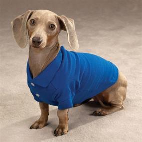 img 1 attached to 👕 Zack & Zoey Cotton Polo Shirt: 12" Small Nautical Blue Polo for Dogs