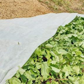 img 1 attached to Agribon AG-30 (83" X 50') Floating Row Crop Cover/Frost Blanket/Frost Cloth/Garden Fabric Plant Cover
