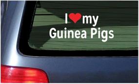 img 1 attached to Show Your Love For Guinea Pigs With White Vinyl Decal Sticker - Featuring Red Heart And Adorable Cavies