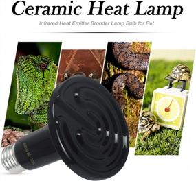 img 1 attached to 2-Pack 150W Ceramic Heat Lamps With Digital Thermometer For Reptile And Pet Brooders - Infrared Heat Emitter Bulbs For Chicken, Lizard, Turtle, Snake, And Aquariums - No Light, No Harm