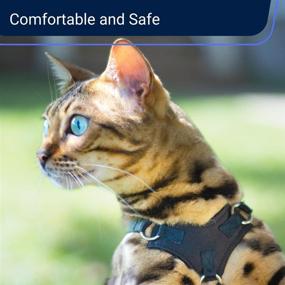 img 3 attached to 🐾 Premium Outdoor Bengal Cat Harness and Leash Set - Escape Proof, Choke Free, Lightweight Design for Safe and Enjoyable Cat Walking (M)