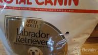 img 1 attached to 17 Lb. Bag Of Royal Canin Labrador Retriever Adult Breed-Specific Dry Dog Food For Optimal Nutrition review by Lamar Hopkins