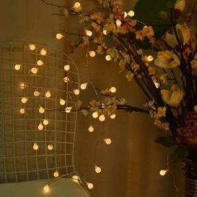 img 1 attached to Warm White Globe String Lights - 16.4FT 50-LED Battery Operated, 8 Modes For Indoor/Outdoor Decorations