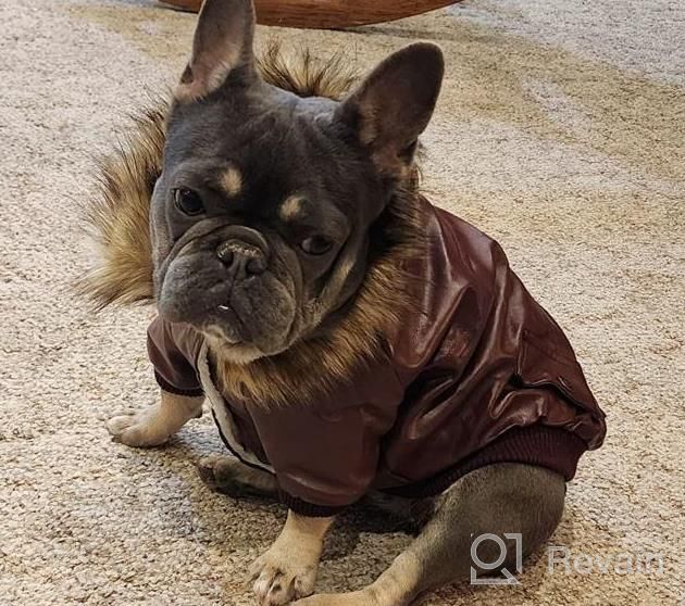 img 1 attached to Small Black Fleece Lined Windproof Waterproof Dog Leather Jacket For Winter Warmth - Perfect For Small Dogs And Puppies. review by Jennifer Vasquez