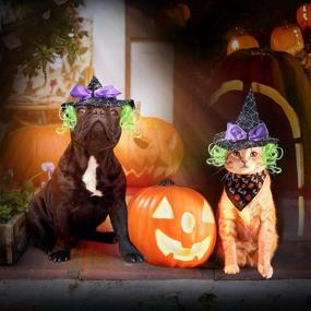 img 3 attached to 🎃 Halloween Costume Cat Hat: Enjoy Cat Wizard Hat, Puppy Witch Hat, Dog Wig for Cosplay and Sorcery