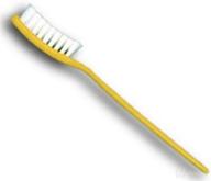 giant yellow toothbrush by fun inc: revolutionizing dental hygiene with fun and style! logo