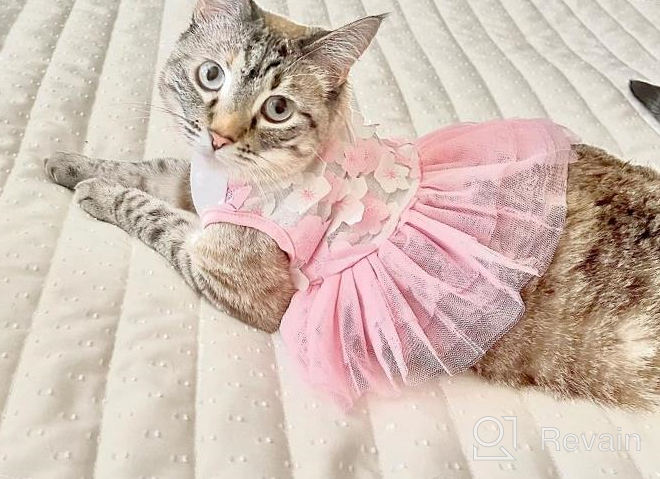 img 1 attached to 👗 QingLuo Sweet Puppy Dog Princess Dress - Pink/Purple Bow Lace Tutu Skirt - Doggie Dress for Dog/Cat (X-Small, Purple) review by Tony Dago