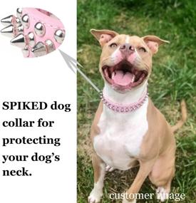 img 2 attached to 🐶 TEEMERRYCA Adjustable Studded Dog Collars: Microfiber Leather, Squeak Ball Gift, for Cats/Pit Bulls/Bulldogs/Pugs