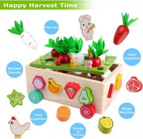img 2 attached to Gift Toy For Baby Boys Girls 1-3 Years Old: SKYFIELD Montessori Wooden Garden Color Shape Fruit Sorting Orchard Cart Farm Game - Develop Fine Motor Skills!