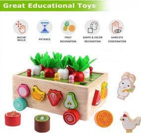 img 1 attached to Gift Toy For Baby Boys Girls 1-3 Years Old: SKYFIELD Montessori Wooden Garden Color Shape Fruit Sorting Orchard Cart Farm Game - Develop Fine Motor Skills!