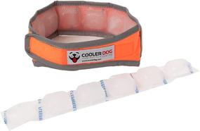 img 2 attached to CoolerDog High-Visibility Re-Freezable Ice Collar for Dogs - Reflective Orange Cooling Collar