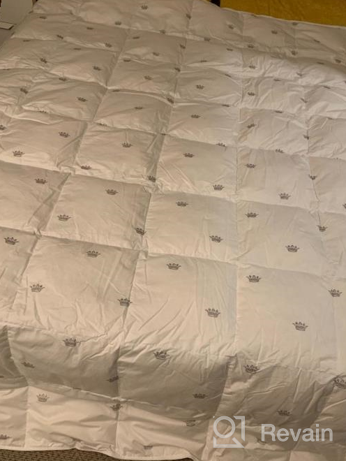 img 1 attached to Queen Size Goose Down Comforter Quilt - 100% Cotton Shell, 8 Tabs, Crown Design & All-Season Comfort | SHEONE review by Ryan Cross