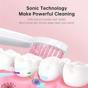 img 3 attached to Discover the Advanced Cleaning Power of JTF Rechargeable Whitening Toothbrushes!