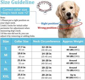 img 2 attached to Ultimate Martingale Collar: No-Pull Dog Collar with Reflective Nylon Cover, Adjustable Stainless Steel 🐕 Links, Slip Collar, and Double Ended Backup Clip - Ideal for Small, Medium & Large Dogs