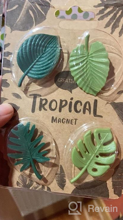 img 1 attached to 8-Piece Monstera Plant Fridge Magnets - Mini Tropical Leaves Refrigerator Decor For Home, Office & Locker! review by Brian Warmack