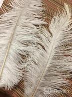 img 1 attached to 16-18 Inches (40-45Cm) Real Natural Ostrich Feathers Bulk White,Great Decorations For Christmas Halloween Home Party Wedding Centerpieces (White 10Pcs) review by Matthew Carr