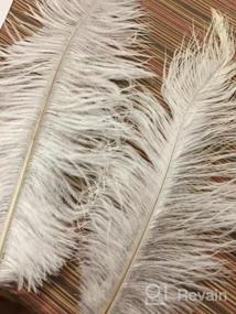img 5 attached to 16-18 Inches (40-45Cm) Real Natural Ostrich Feathers Bulk White,Great Decorations For Christmas Halloween Home Party Wedding Centerpieces (White 10Pcs)