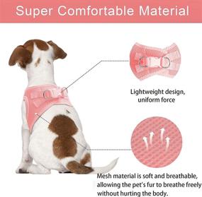 img 3 attached to 🐱 Escape Proof TwoEar Cat Harness - Adjustable Soft Dog Vest Harness, Breathable Mesh Step-in Puppy Walking Jacket - Reflective, Easy Control for Extra Small Pets - Perfect for Outdoor Walking (Size: XXXS, Color: Pink)