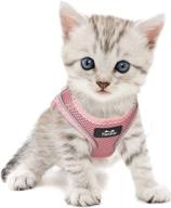 🐱 escape proof twoear cat harness - adjustable soft dog vest harness, breathable mesh step-in puppy walking jacket - reflective, easy control for extra small pets - perfect for outdoor walking (size: xxxs, color: pink) logo