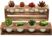 charming rustic mini plant pot set with tiered stand - 10 piece kit of white ceramic planters and burnt wood stands logo