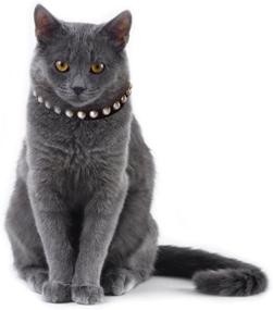 img 2 attached to Stylish and Safe: Kitty Planet South Sea Pearl Leather Safety Cat Collar in Mysterious Black