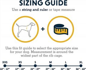 img 3 attached to Ensure Your Pup'S Safety In Water With RUFFWEAR Float Coat Life Jacket- Blue Dusk, Size Large