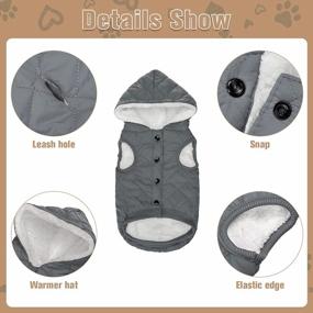 img 1 attached to Тепло и уютно: зимняя одежда PUPTECK с шапкой для маленьких и средних собак