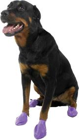 img 1 attached to 🐾 Pawz Large Purple Waterproof Dog Boots, 3-4 inch Paws - Pack of 12 Disposable and Reusable Boots