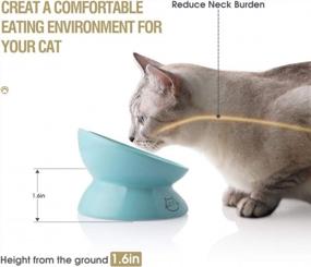 img 2 attached to Ceramic Elevated Cat Bowls With Slanted Design For Food Or Water, Porcelain Pet Feeder For Stress-Free And Backflow Preventive Eating, Protects Cat'S Spine, In Turquoise By SWEEJAR