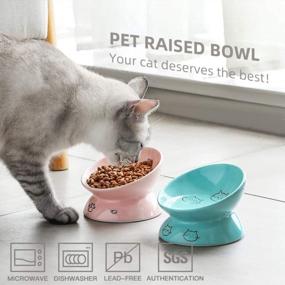 img 3 attached to Ceramic Elevated Cat Bowls With Slanted Design For Food Or Water, Porcelain Pet Feeder For Stress-Free And Backflow Preventive Eating, Protects Cat'S Spine, In Turquoise By SWEEJAR