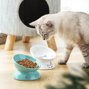 img 1 attached to Ceramic Elevated Cat Bowls With Slanted Design For Food Or Water, Porcelain Pet Feeder For Stress-Free And Backflow Preventive Eating, Protects Cat'S Spine, In Turquoise By SWEEJAR