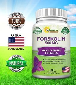 img 3 attached to 💪 Forskolin 500mg Max Strength: The Ultimate Natural Supplement for Rapid Weight Loss - 120 Capsules