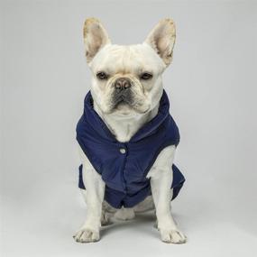 img 3 attached to 🐶 Companet Pet Dogs Clothing: Warm Coats Jackets for Dogs of All Sizes, with Comfortable Dog Vest